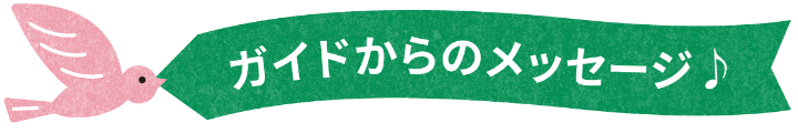 ガイドからのメッセージ