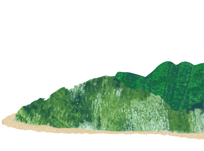 空風 石垣島店