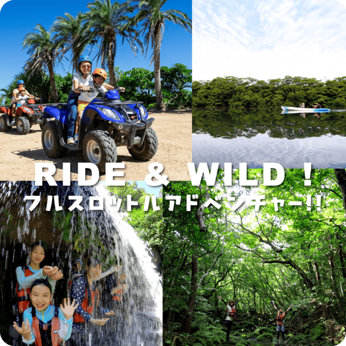 おすすめのアクティビティ画像