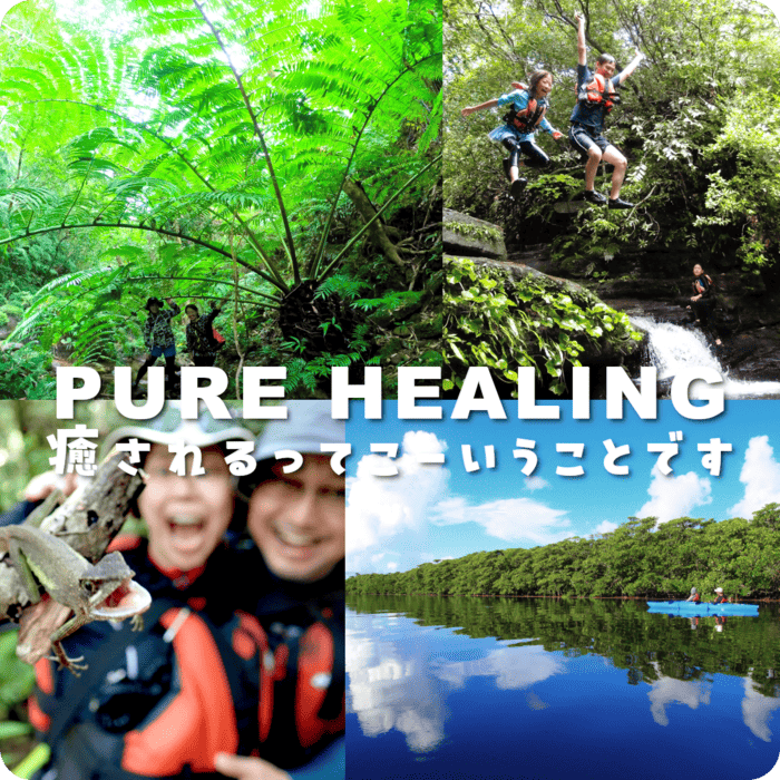 おすすめのアクティビティ画像