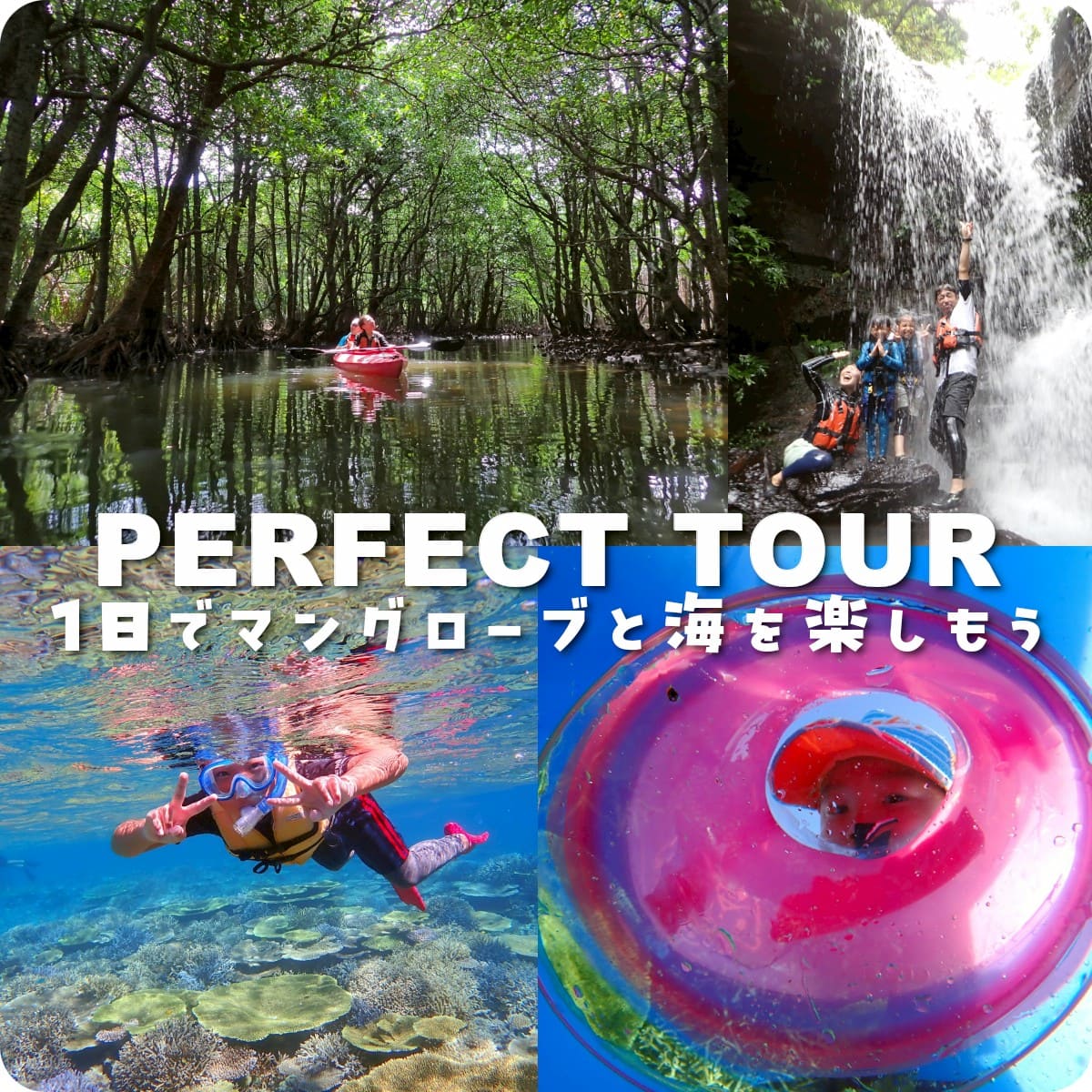 おすすめのアクティビティ画像