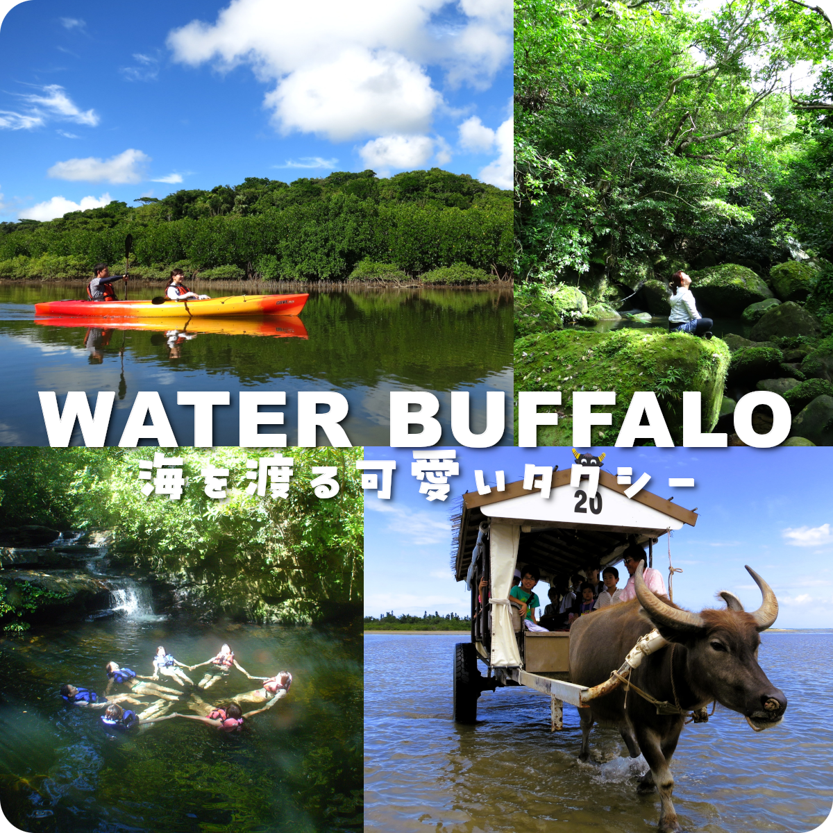 おすすめのアクティビティ画像