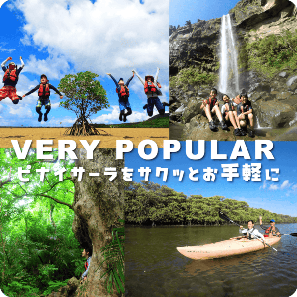 おすすめのアクティビティ画像