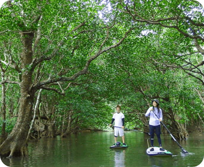 季節画像