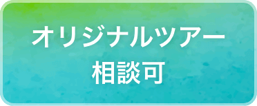 オリジナルツアー相談可