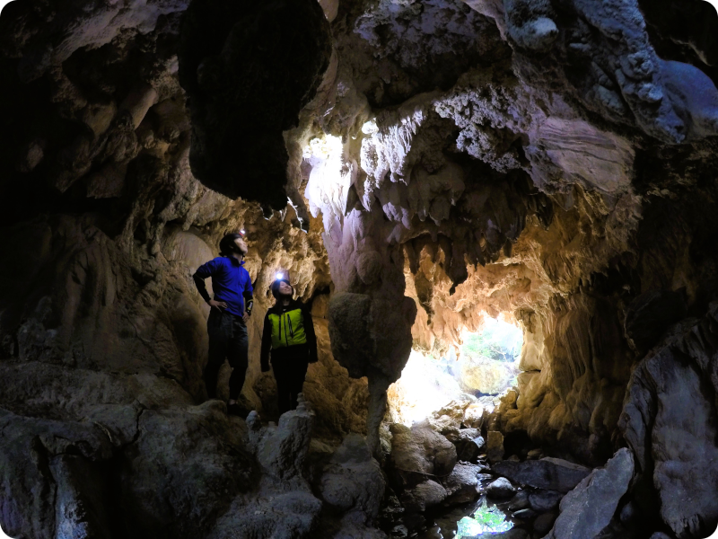 マングローブカヌーと鍾乳洞探検