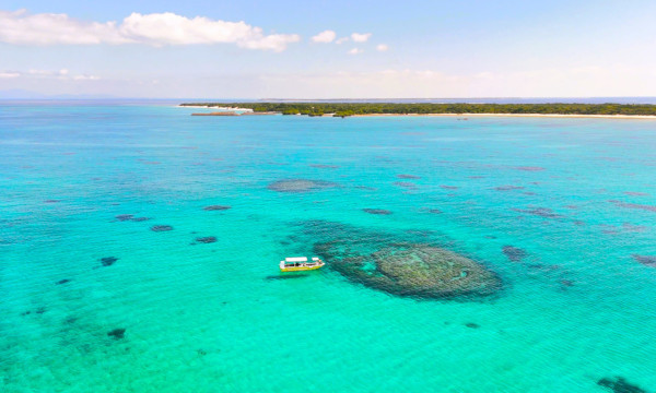パナリ島 シュノーケリング