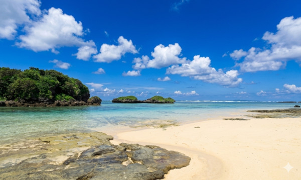 星砂の浜 シュノーケリング